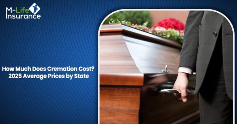 How Much Does Cremation Cost