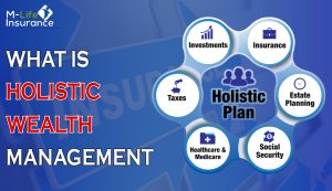 What is holistic wealth management?
