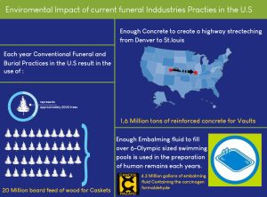 Environmental Impact of Burial and cremation