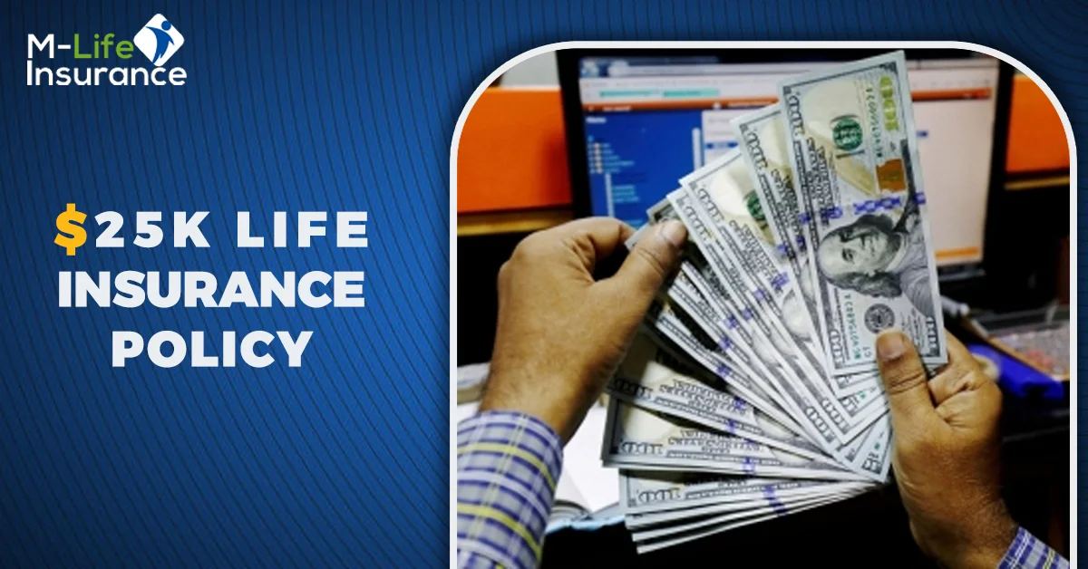$25K Life Insurance Policy