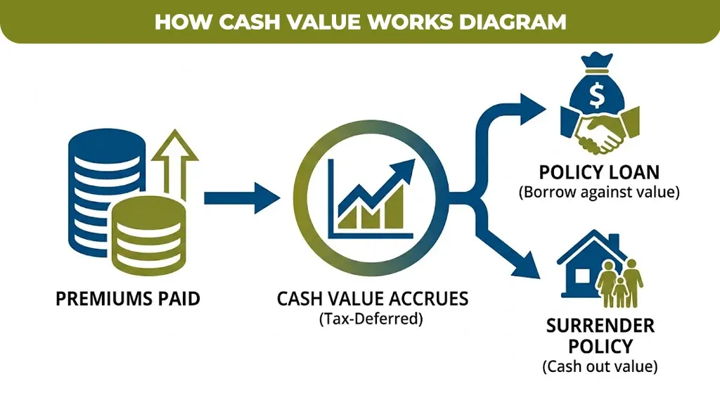 How-Cash-Value-Works-Diagram