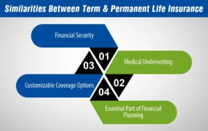 Similarities Between Term and Permanent Life Insurance