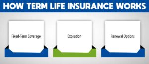 How Term Life Insurance Works