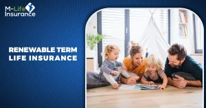 renewable term life insurance