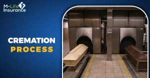 cremation process
