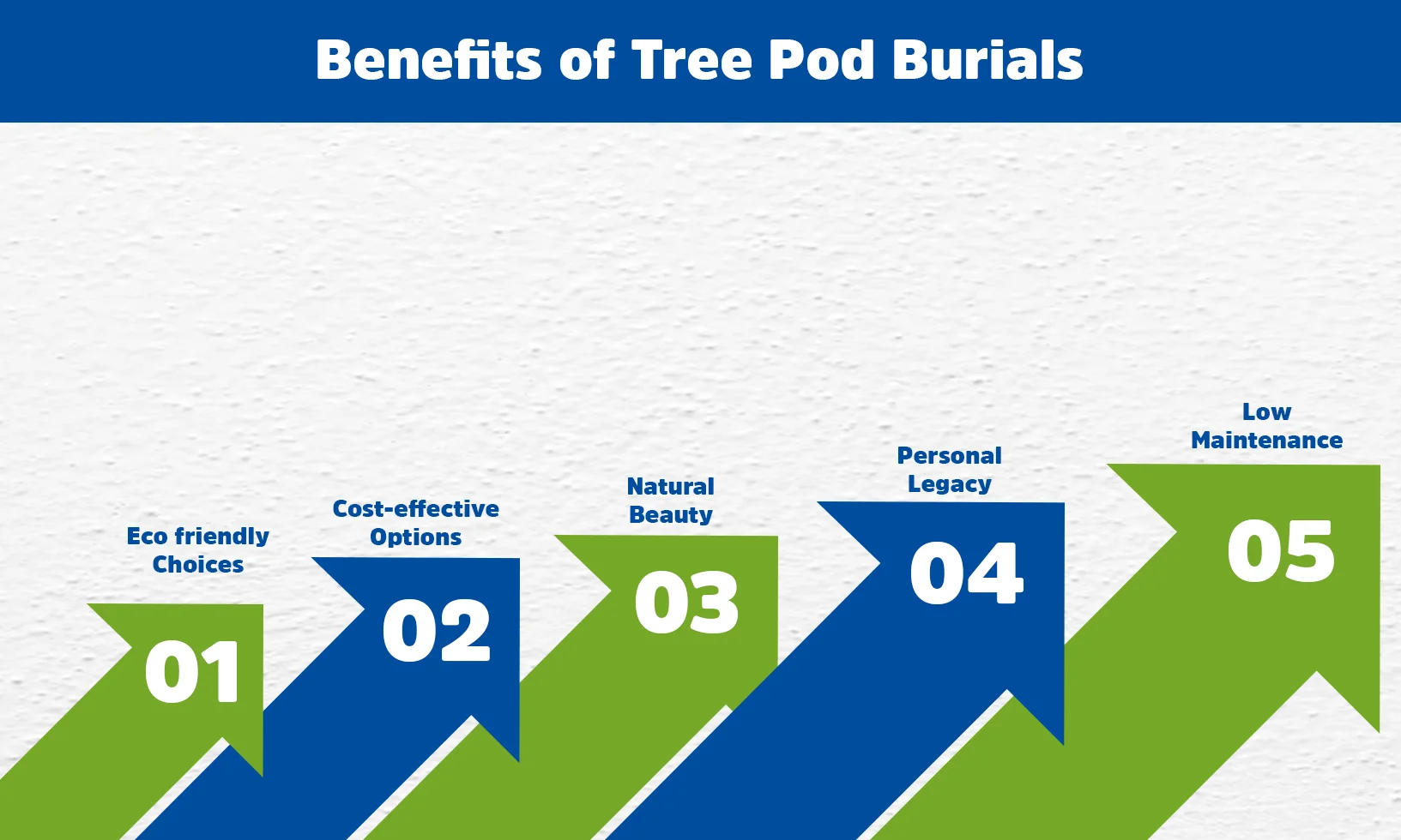 Benefits of Tree Pod Burials