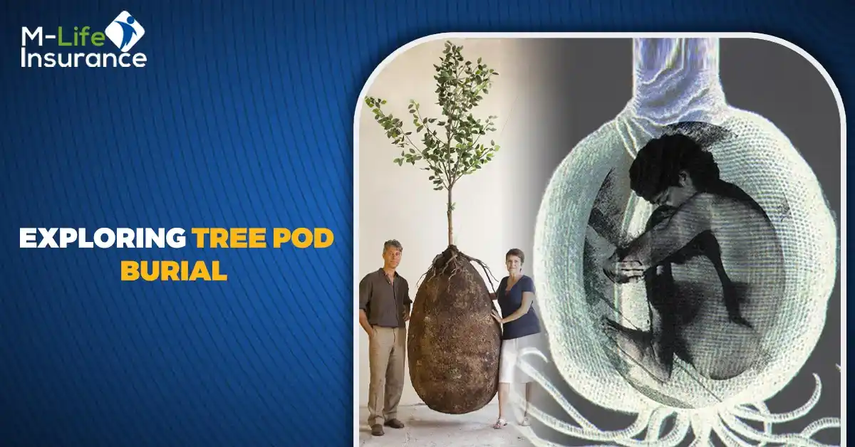 Exploring Tree Pod Burial: Remembering to Loved Ones uptrends