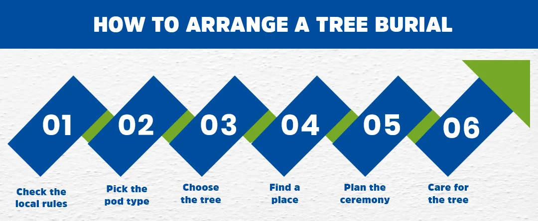 How To Arrange A Tree Burial