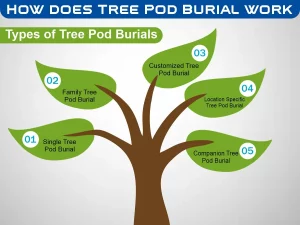 How does Tree Pod Burial work