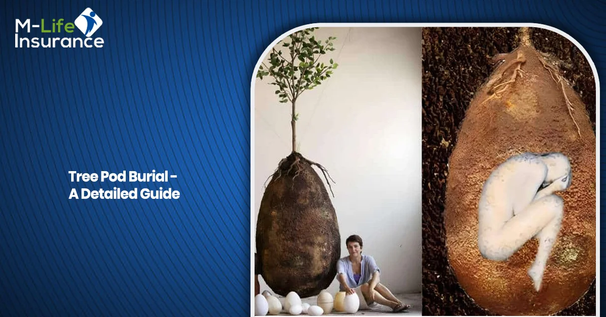 Tree Pod Burial