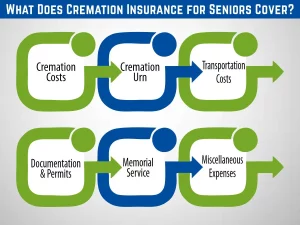 What Does Cremation Insurance for Seniors Cover