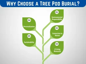 Why Choose a Tree Pod Burial