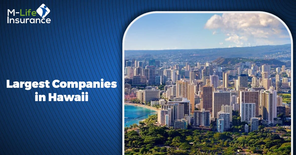 Largest Companies in Hawaii