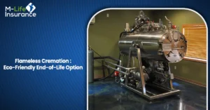 Flameless Cremation