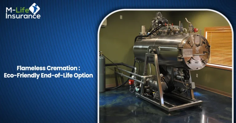 Flameless Cremation