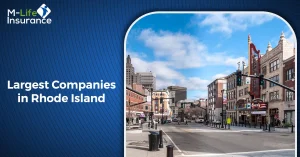 Largest Companies in Rhode Island