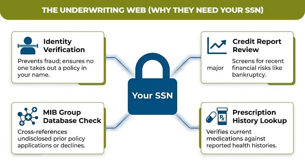 the underwriting web (why they need your ssn)