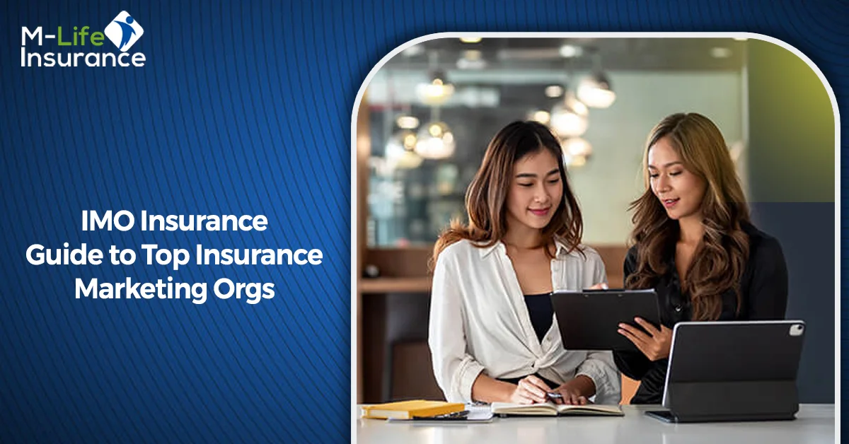 IMO Insurance