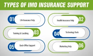 Types of IMO Insurance Support