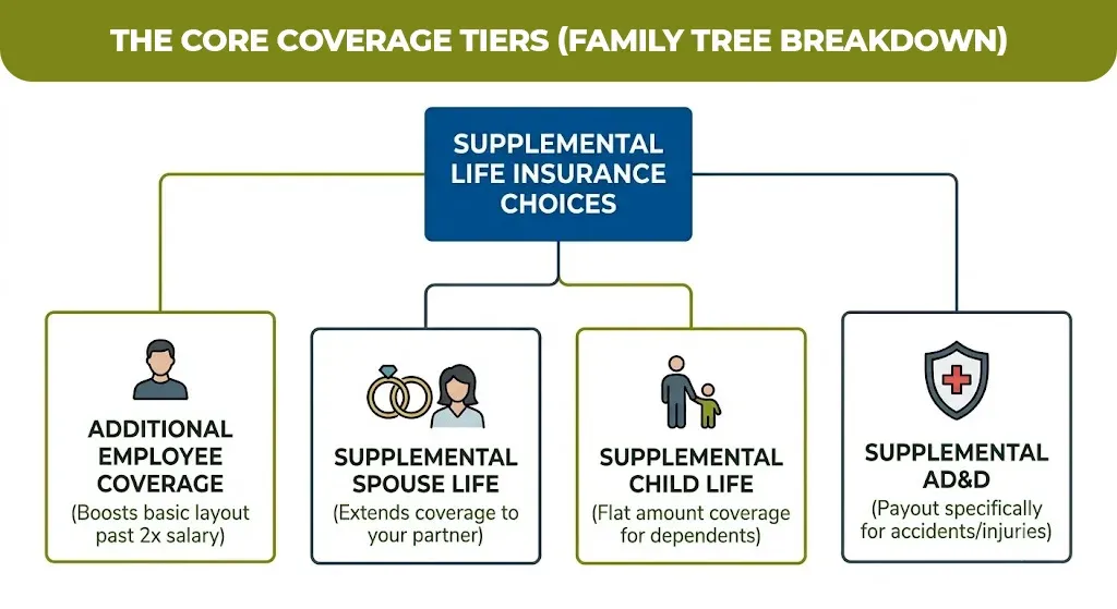 The Core Coverage Tiers (Family Tree Breakdown)