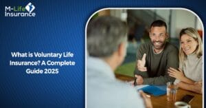 What is Voluntary Life Insurance