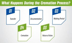 What Happens During the Cremation Process