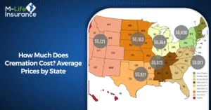 How Much Does Cremation Cost Average