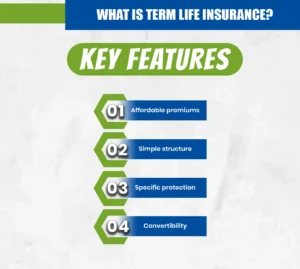 What Is Term Life Insurance