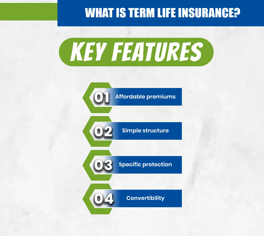 What Is Term Life Insurance