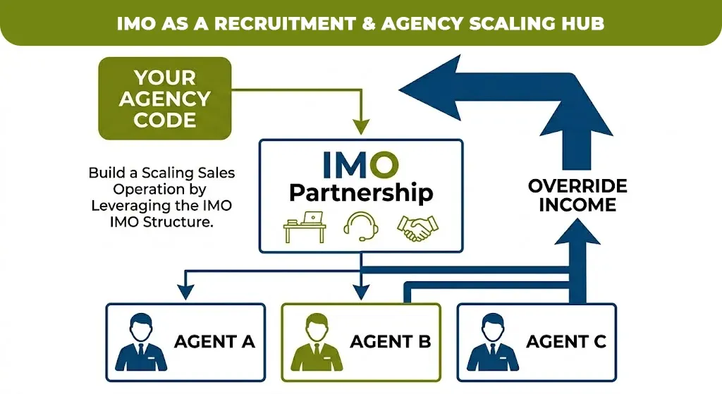 imo as a recruitment & agency scaling hub 