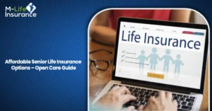 Affordable Senior Life Insurance Options – Open Care Guide