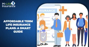 Affordable Term Life Insurance Plans: A smart Guide