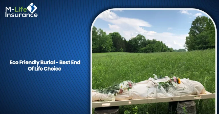 Eco Friendly Burial - Best End Of Life Choice