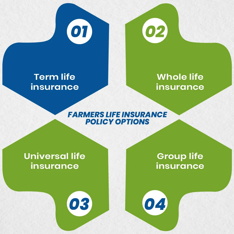 Farmers Life Insurance Policy Options