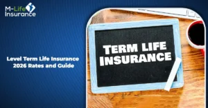 Level Term Life Insurance