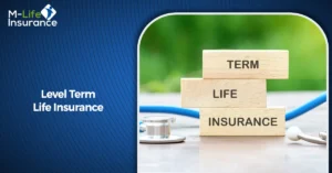 Level Term Life Insurance