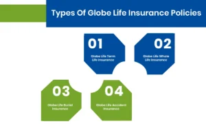 Types Of Globe Life Insurance Policies