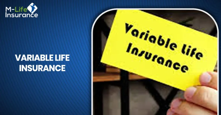 VARIABLE LIFE INSURANCE