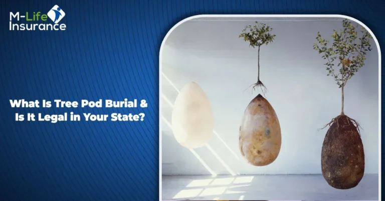 What Is Tree Pod Burial