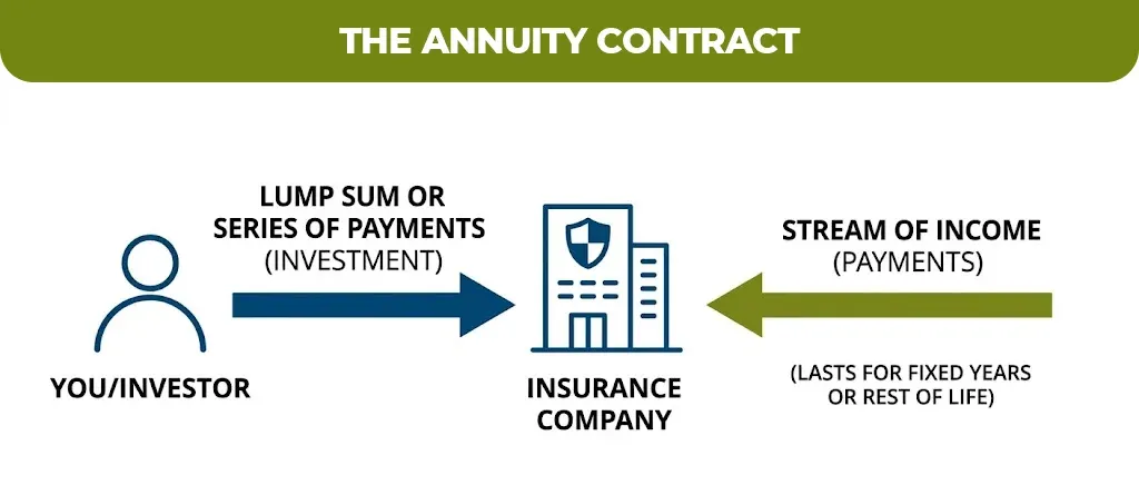 the annuity contract