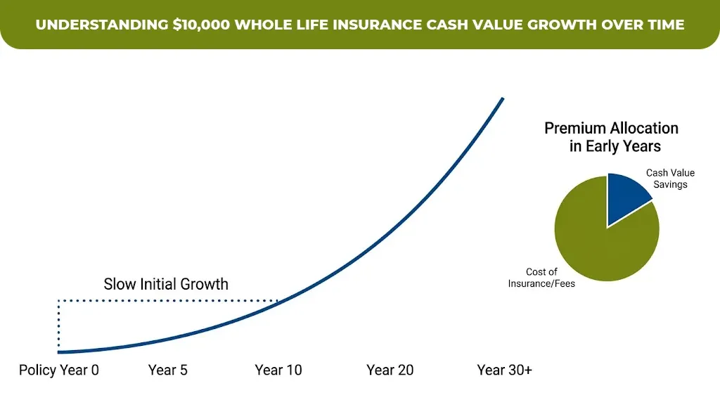 understanding $10,000 whole life insurance cash value growth over time