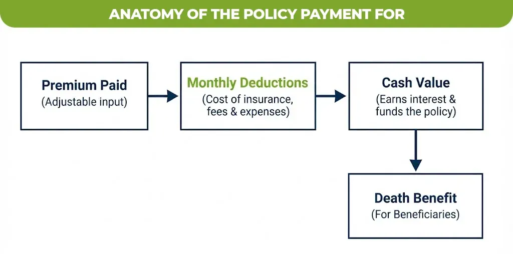 anatomy of the policy payment for 